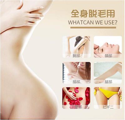 脱毛器 レーザー脱毛器 永久脱毛 IPL光脱毛器 光美容器 髭 脱毛 VIO対応 光エステ フラッシュ式 自動