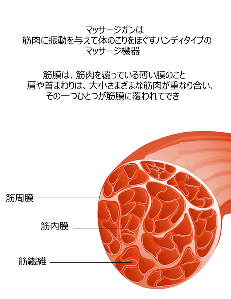 マッサージガン フェイシアガン 筋膜リリース 六段階振動 筋肉 肩こり 経絡ストレッチ